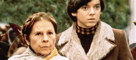 Harold and Maude - An Unconventional Love Story With Quirky Characters!